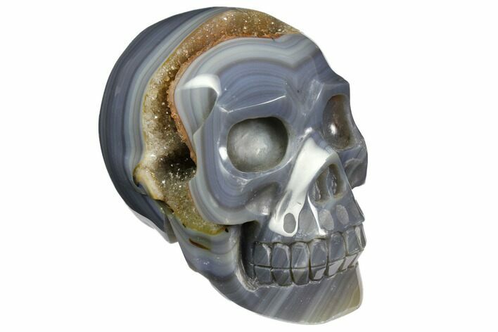 Polished Banded Agate Skull with Quartz Crystal Pocket #148115